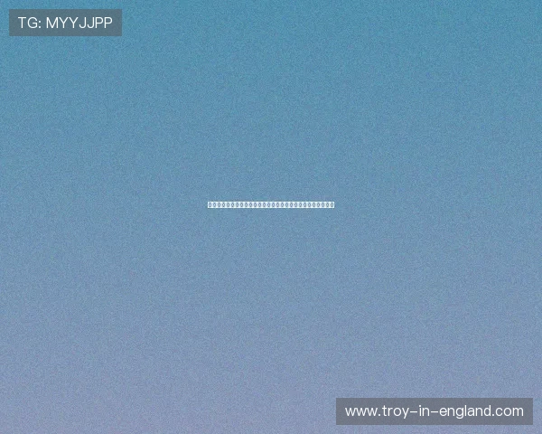 体育电子导航助力世界杯赛事全景报道实现一站式信息获取体验 体育电子导航助力世界杯赛事全景报道实现一站式信息获取体验